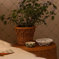 Pinet Plant Pot