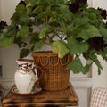 Marbre Jug