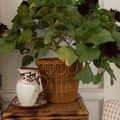 Pinet Plant Pot