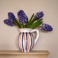 Drip Cigno Jug