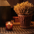 Pinet Plant Pot