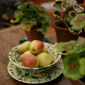 Splatter Dinner Plate (Set of 4)