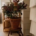 Pinet Plant Pot