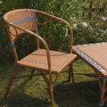 Juliette Armchair (Set of 2)