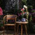 Juliette Armchair (Set of 2)