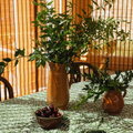 Sharland England & Sister Parish Tablecloth