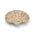 Splatter Coquillage Dish