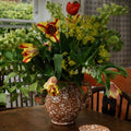 Splatter Cigno Jug
