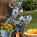Orange Blossom Candle